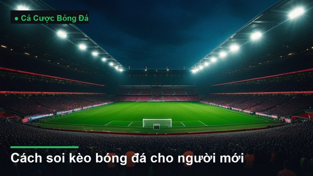 sân vận động bóng đá về đêm dưới ánh đèn pha - cách soi kèo bóng đá cho người mới