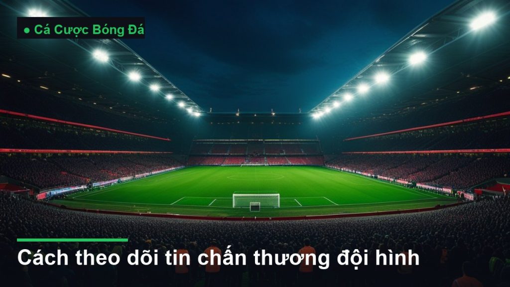 sân vận động bóng đá về đêm dưới ánh đèn pha - cách theo dõi tin chấn thương đội hình