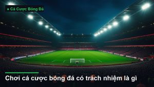 sân vận động bóng đá về đêm dưới ánh đèn pha - chơi cá cược bóng đá có trách nhiệm là gì