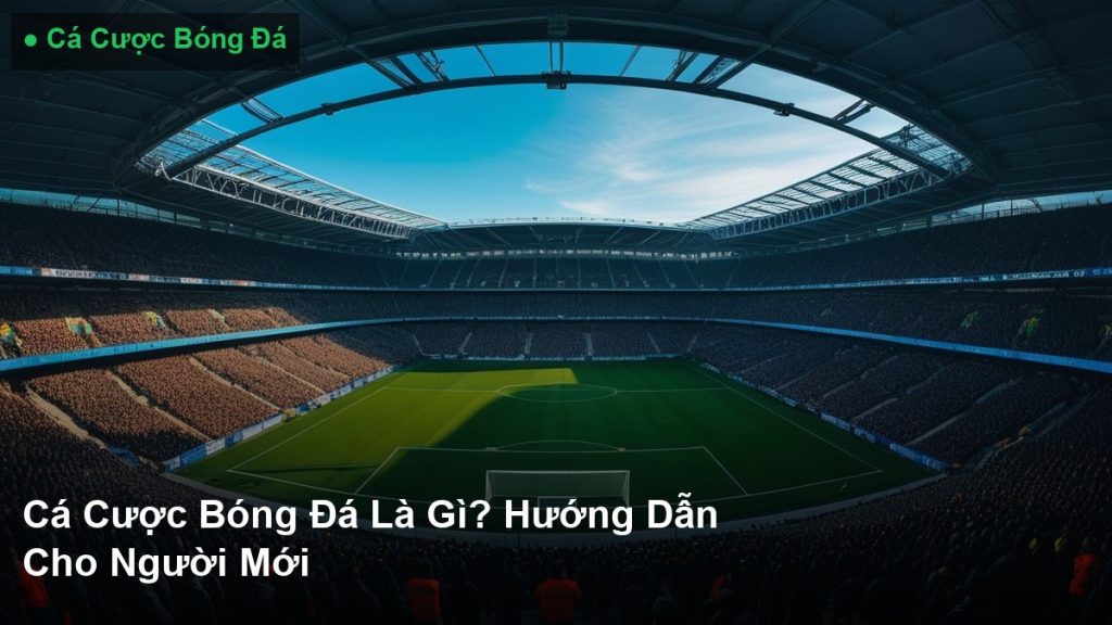 Cá Cược Bóng Đá Là Gì - Hướng Dẫn Cho Người Mới Bắt Đầu