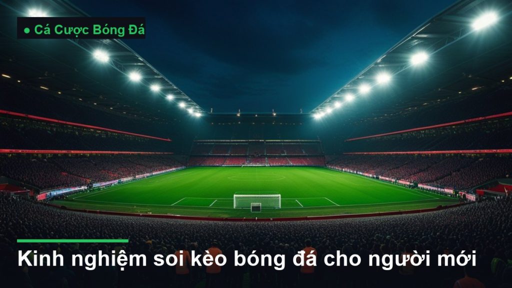 sân vận động bóng đá về đêm dưới ánh đèn pha - kinh nghiệm soi kèo bóng đá cho người mới