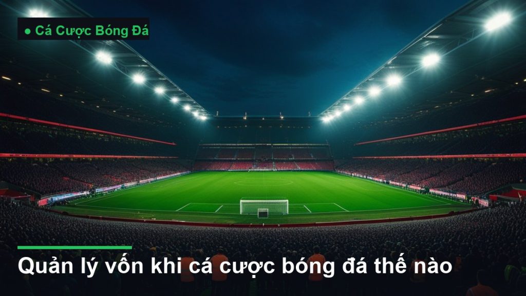 sân vận động bóng đá về đêm dưới ánh đèn pha - quản lý vốn khi cá cược bóng đá thế nào