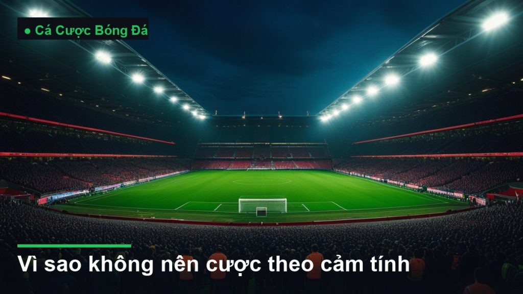 sân vận động bóng đá về đêm dưới ánh đèn pha - vì sao không nên cược theo cảm tính