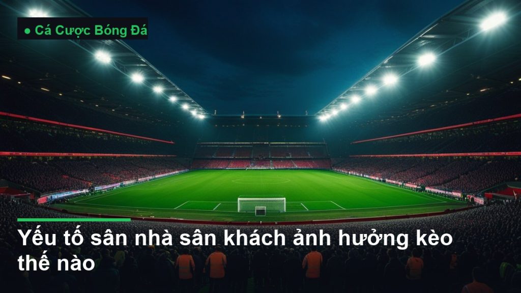 sân vận động bóng đá về đêm dưới ánh đèn pha - yếu tố sân nhà sân khách ảnh hưởng kèo thế nào
